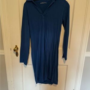 American Giant Vibrant Blue Johnny Collar shirt dress